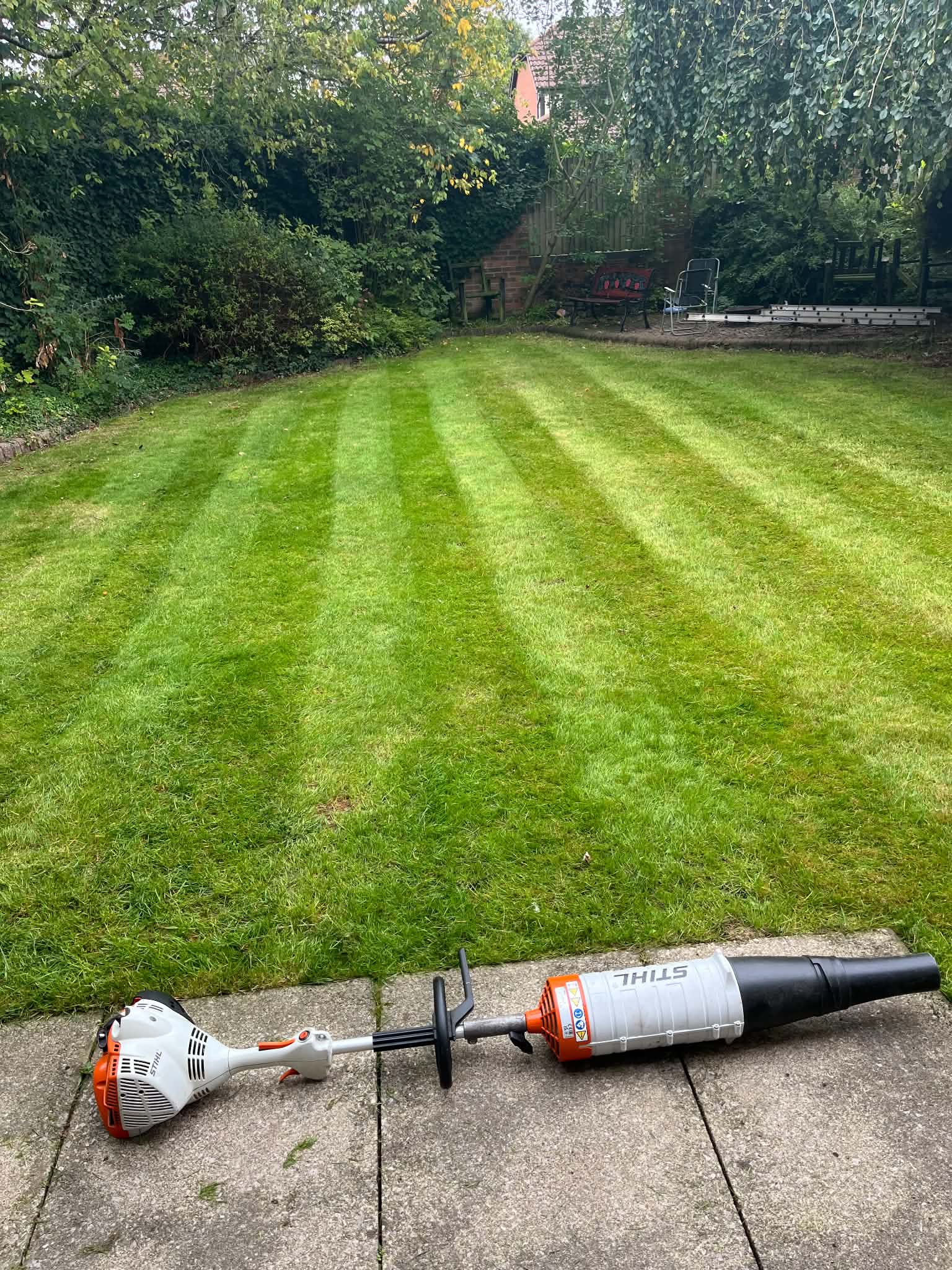 Hedge Trimming Work